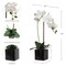 Lifelike Phalaenopsis Orchid Arrangement in 5" Black Cubed Pot - Elegant Floral Decor for Home, Office, Weddings, and Events by Floral Home by Artificial Flowers
